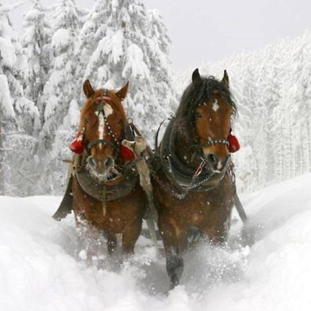 La Luna Delle Montagne Charme & Spa Chalet Tarvisio Zewnętrze zdjęcie