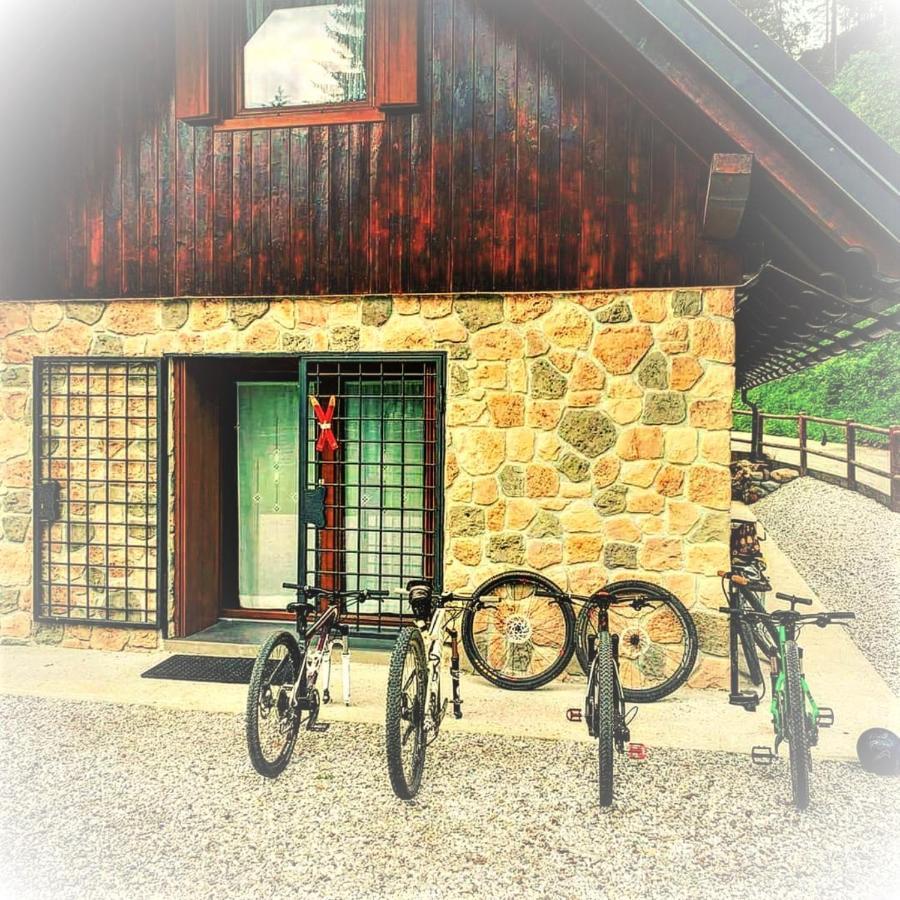 La Luna Delle Montagne Charme & Spa Chalet Tarvisio Zewnętrze zdjęcie