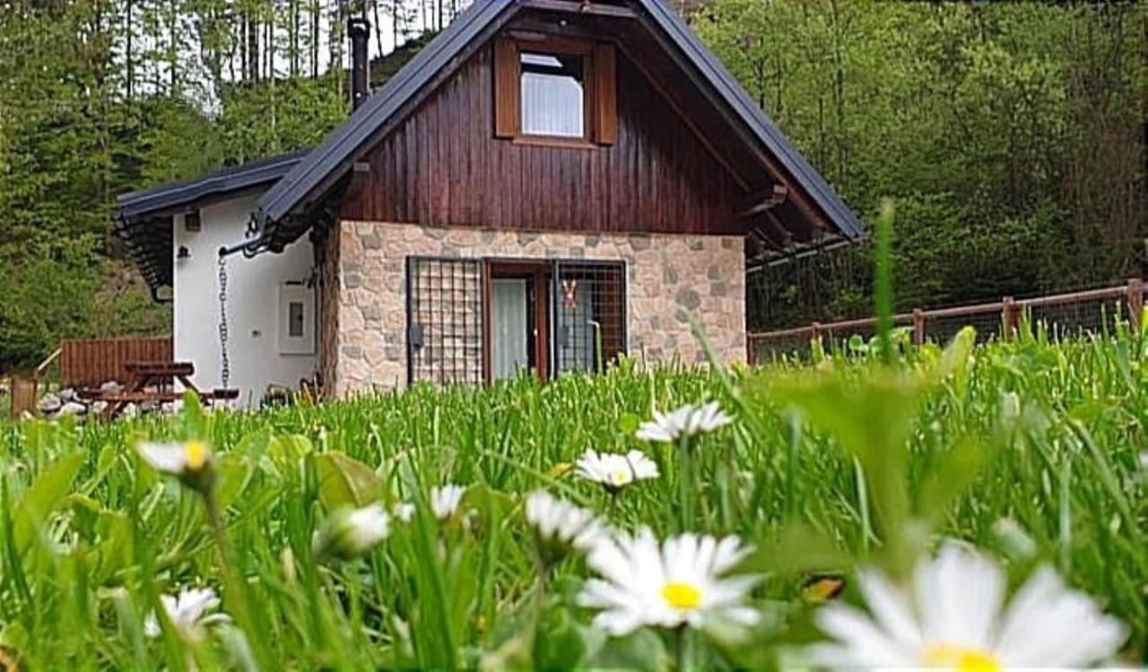 La Luna Delle Montagne Charme & Spa Chalet Tarvisio Zewnętrze zdjęcie