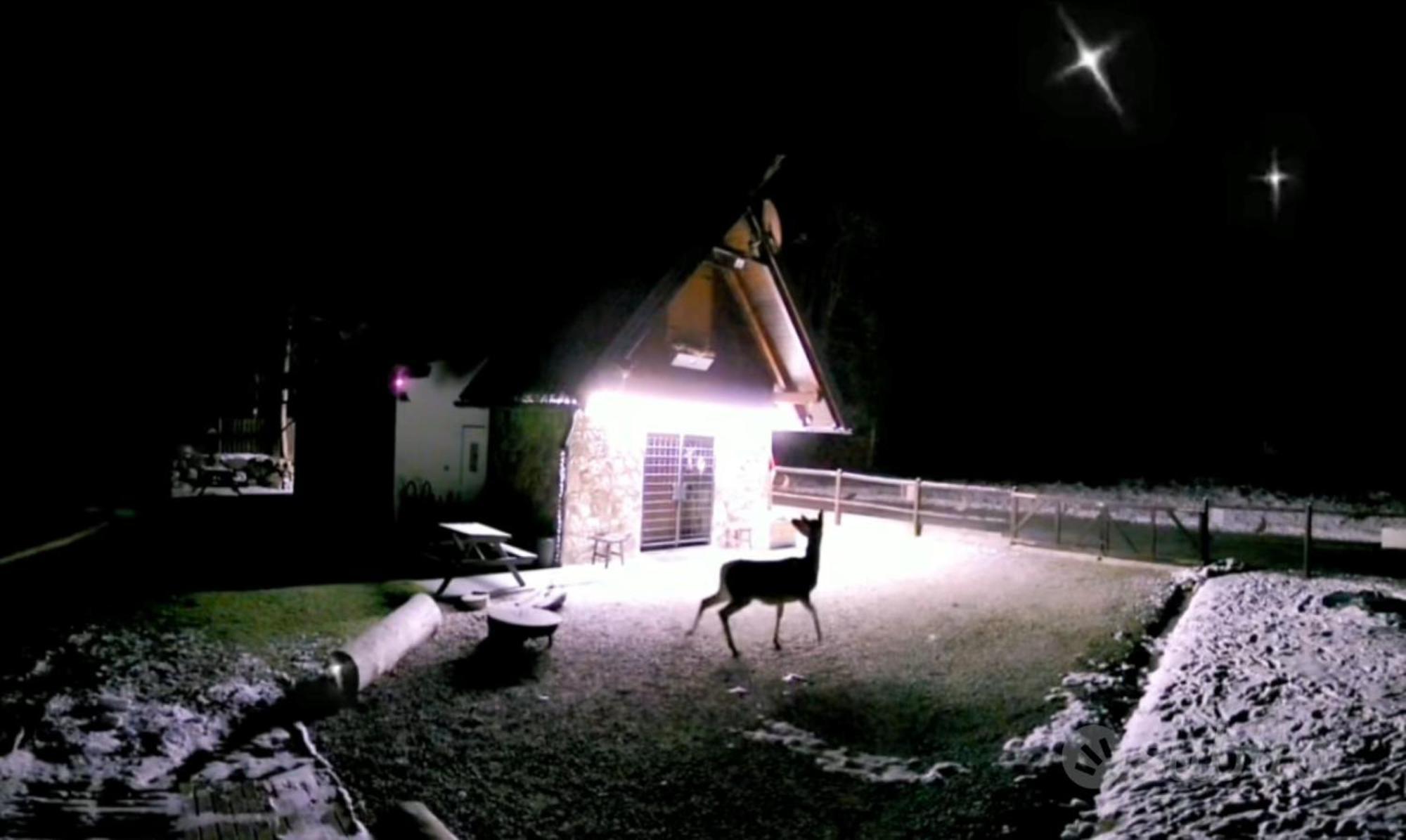 La Luna Delle Montagne Charme & Spa Chalet Tarvisio Zewnętrze zdjęcie