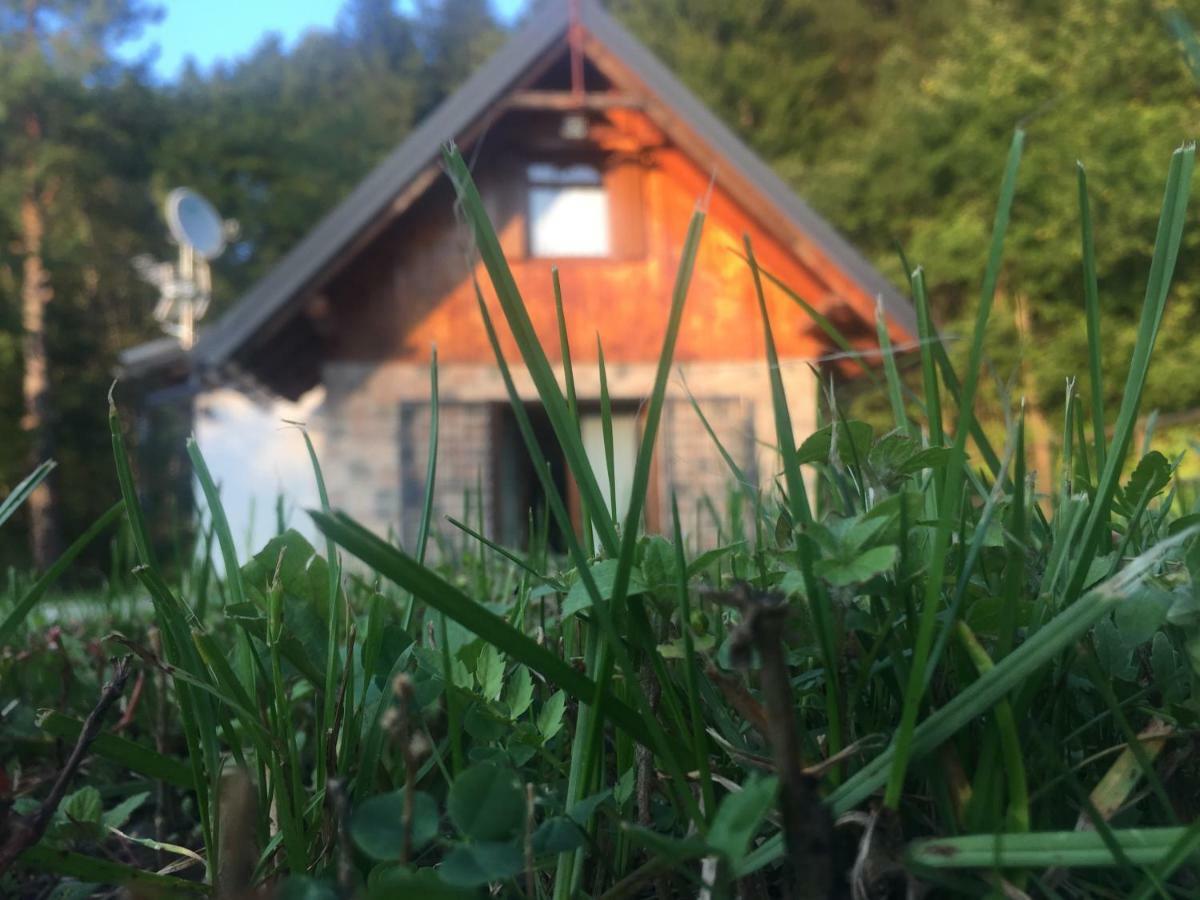 La Luna Delle Montagne Charme & Spa Chalet Tarvisio Zewnętrze zdjęcie