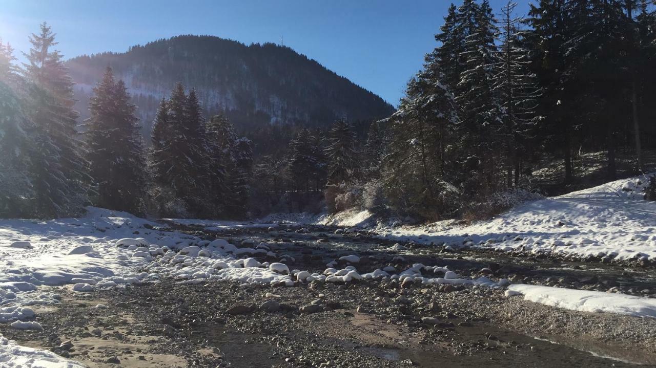 La Luna Delle Montagne Charme & Spa Chalet Tarvisio Zewnętrze zdjęcie